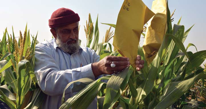 farmer-pollinization